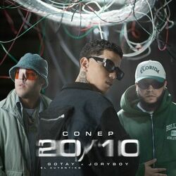 Cover of 20/10
