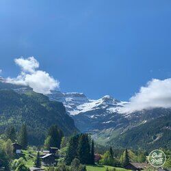 Cover of Alpine Rest