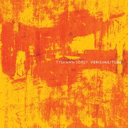 Cover of Verisimilitude