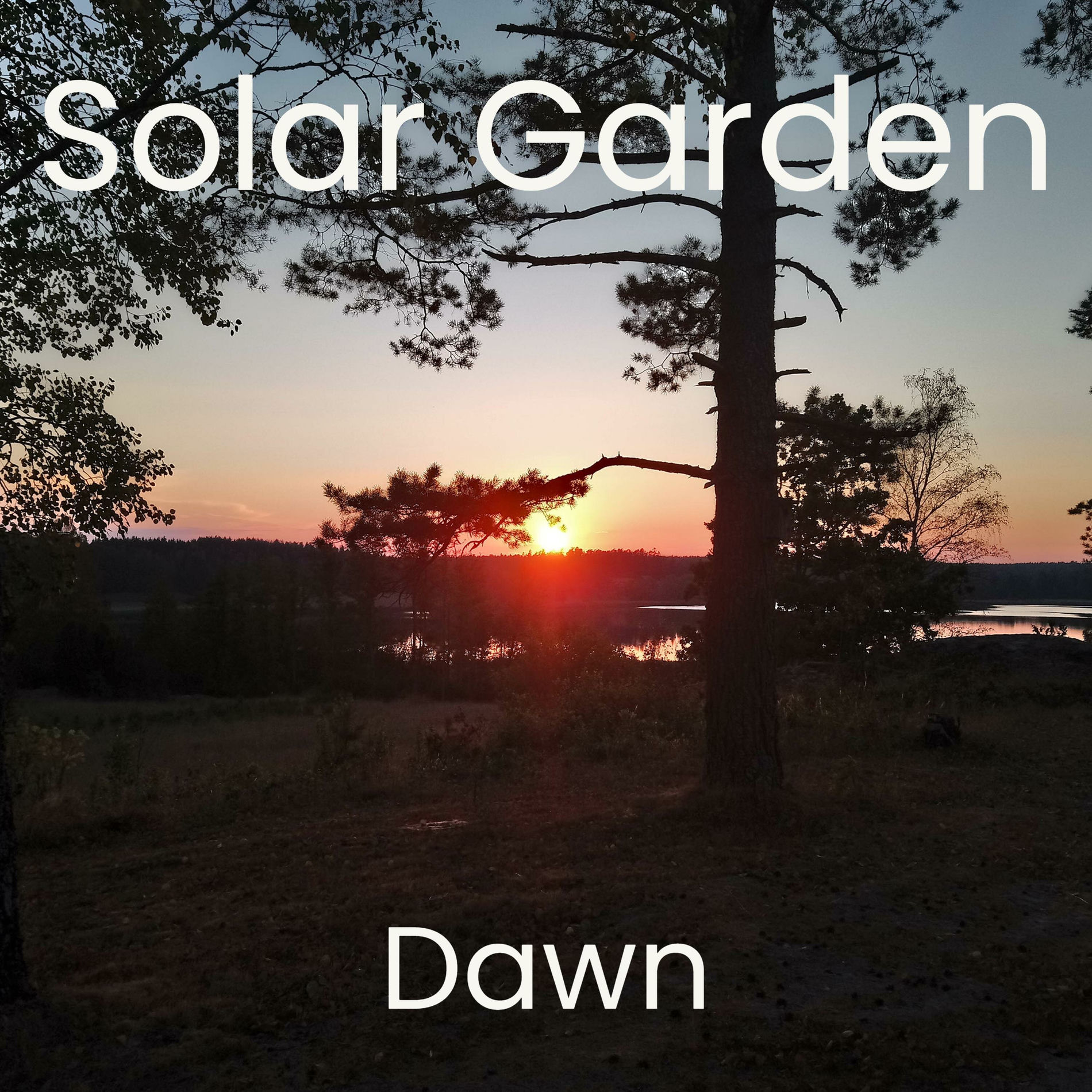 Album cover of Dawn