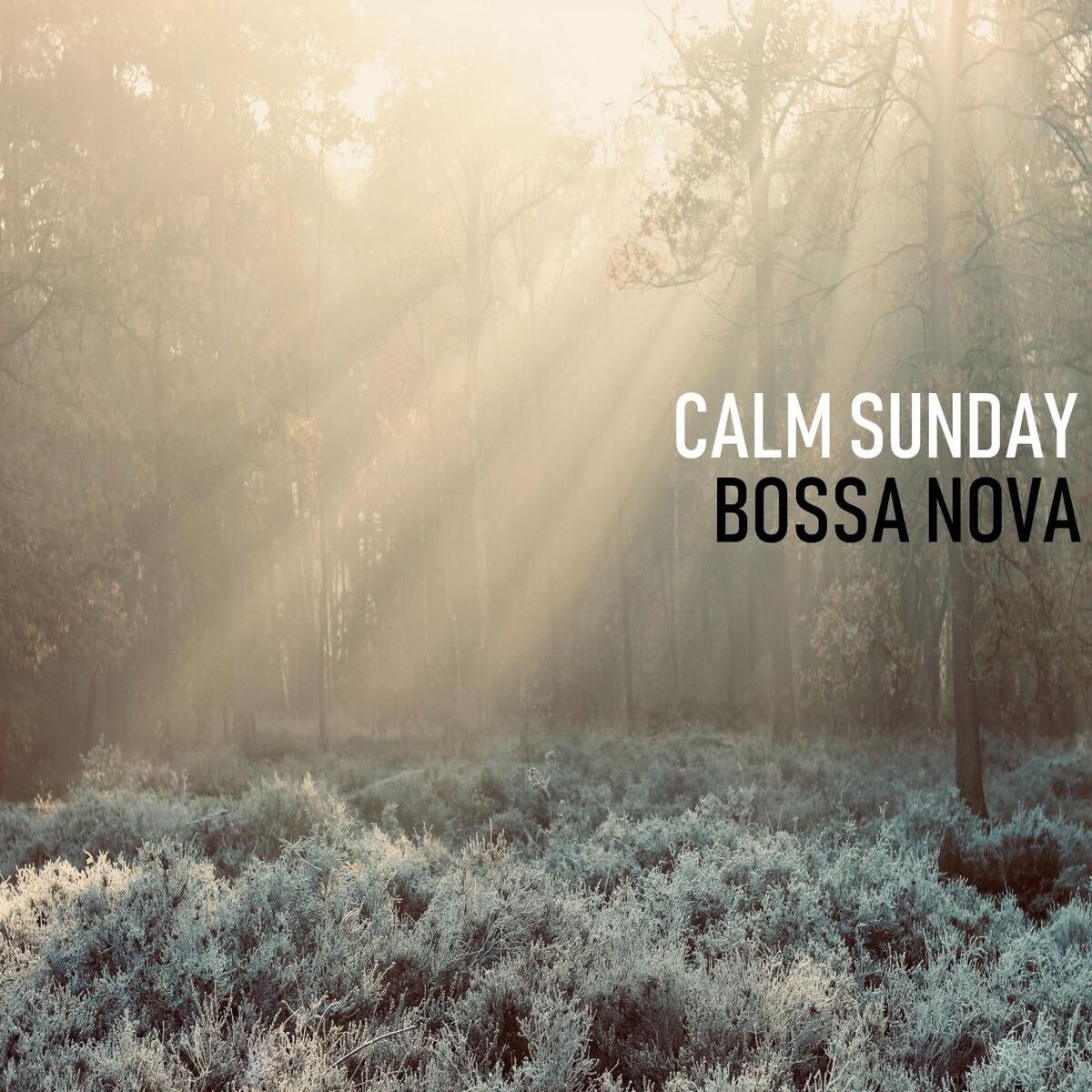 Album cover of Calm Sunday Bossa Nova