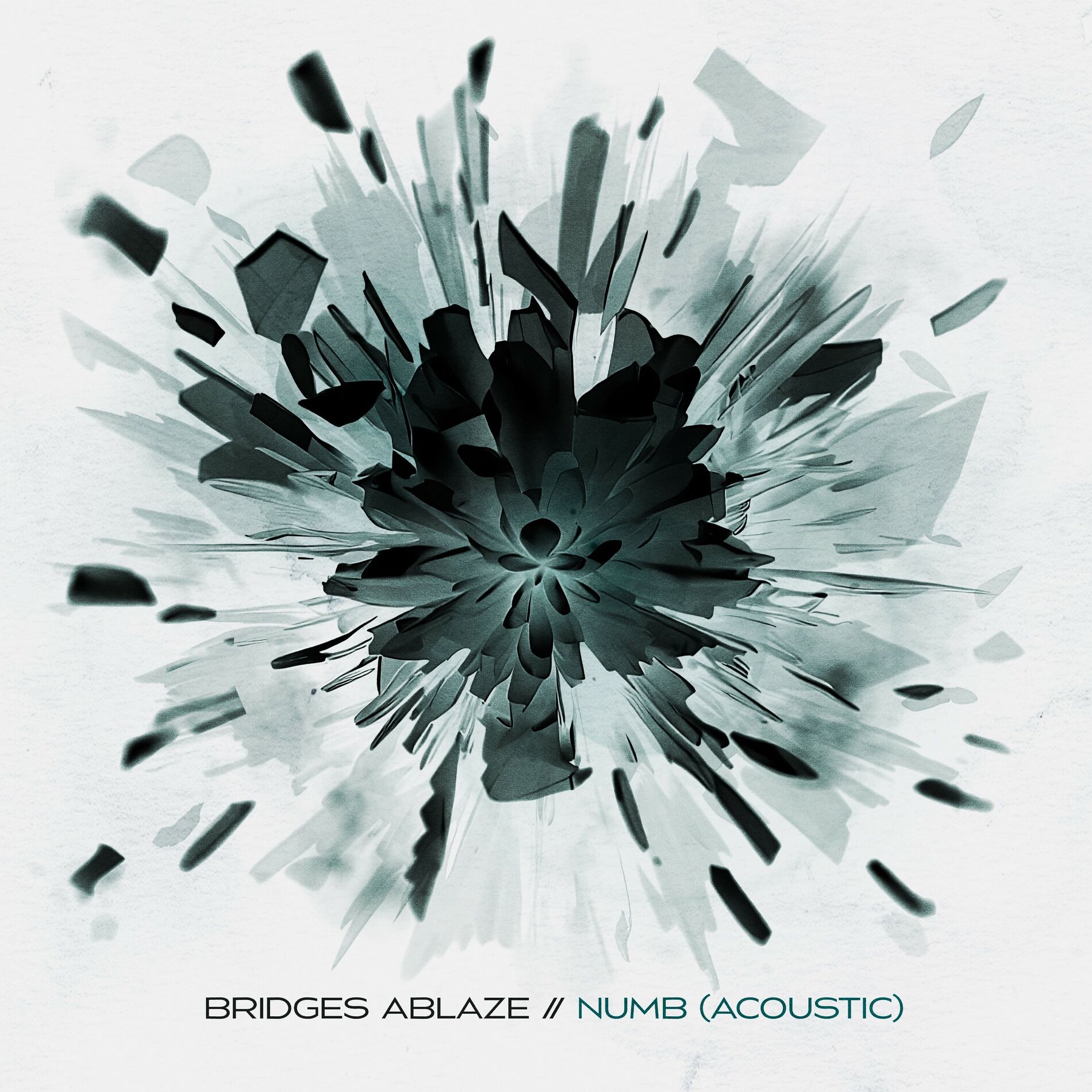 Album cover of Numb (Acoustic)