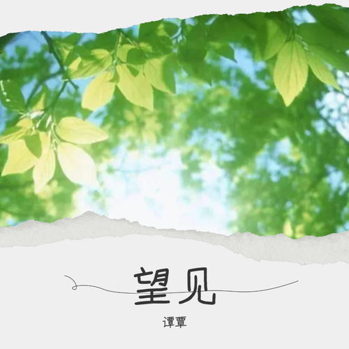 望见