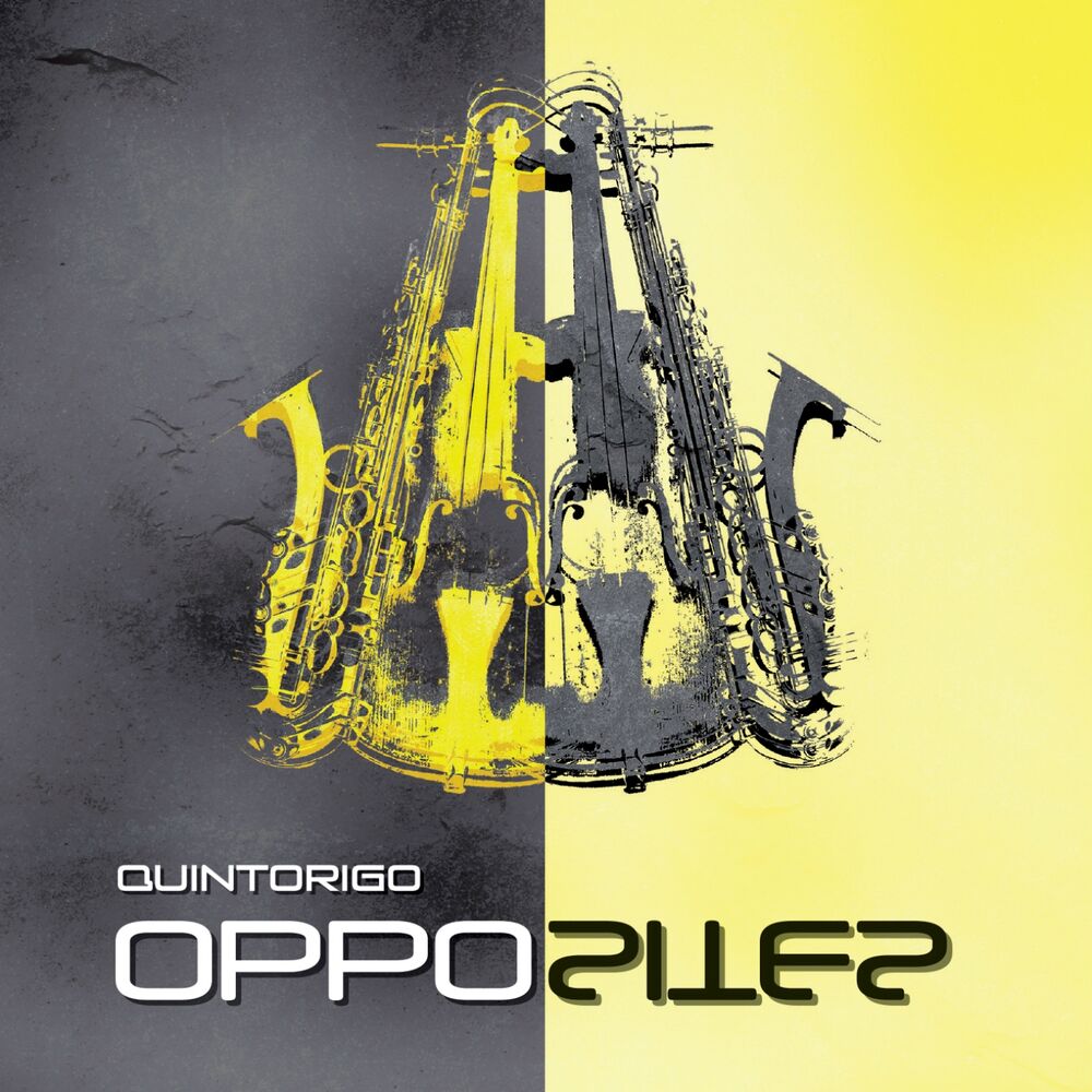 Picture of Opposites