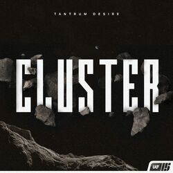 Cover of Cluster