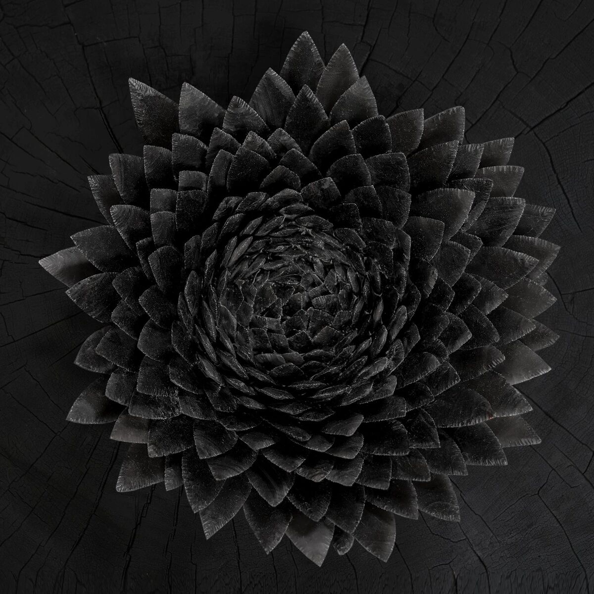 Album cover of Obsidian