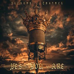 Cover of YES YOU ARE