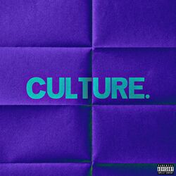 Cover of Culture