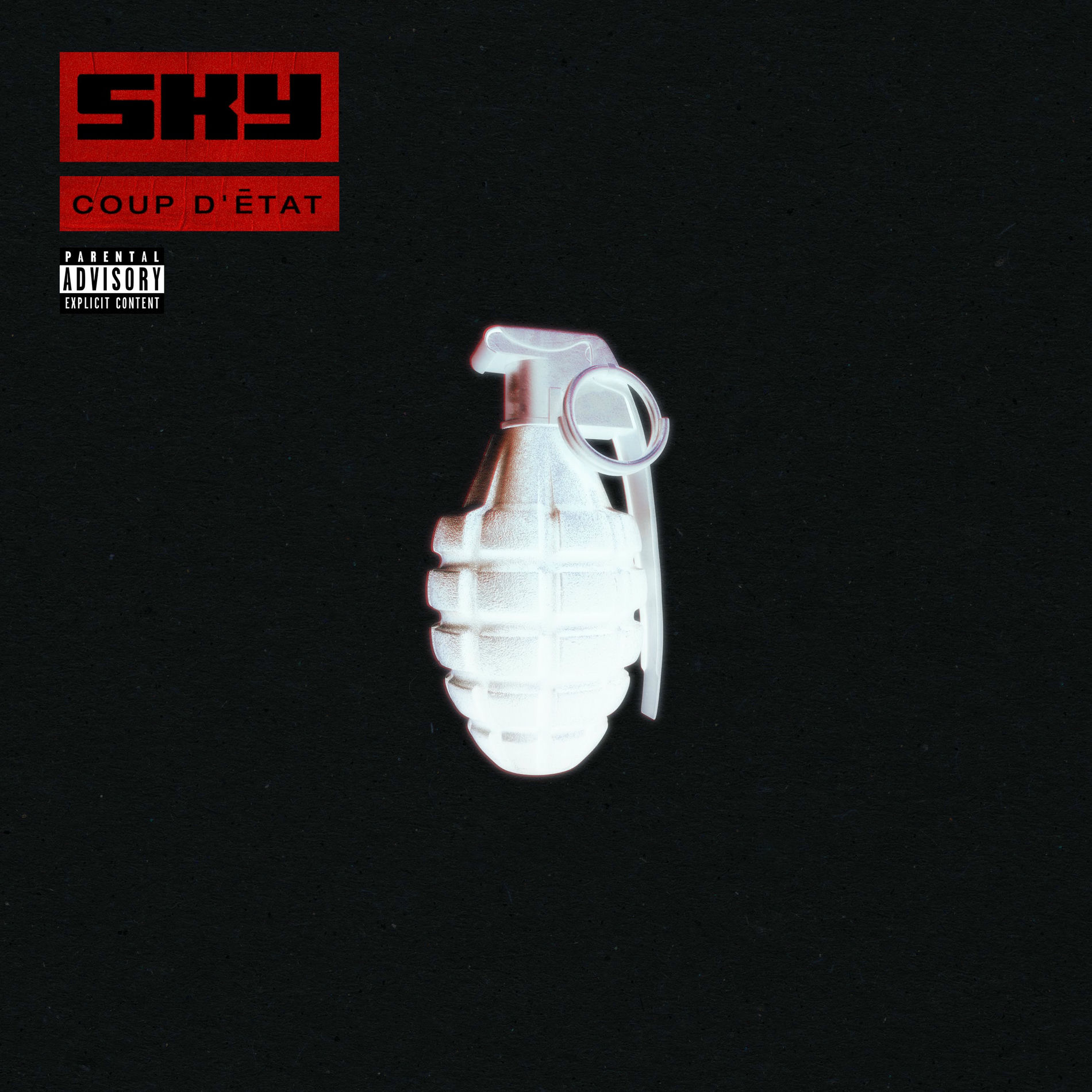 Album cover of Coup d'état