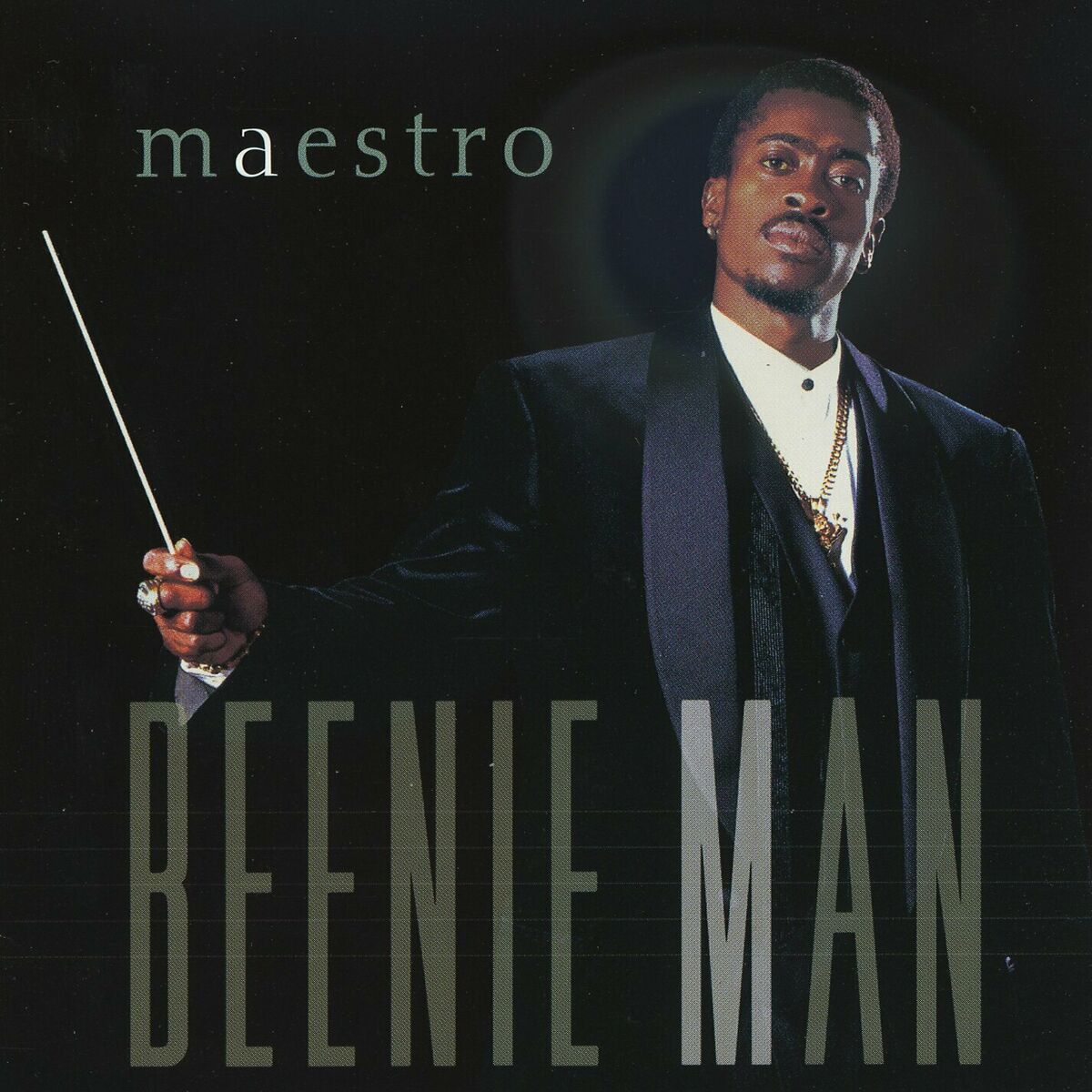Album cover of Maestro