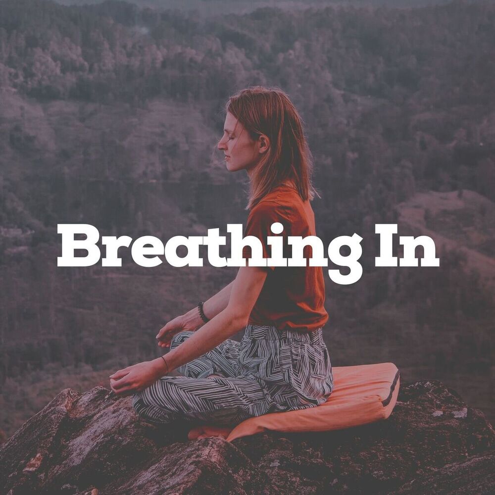 Picture of Breathing In