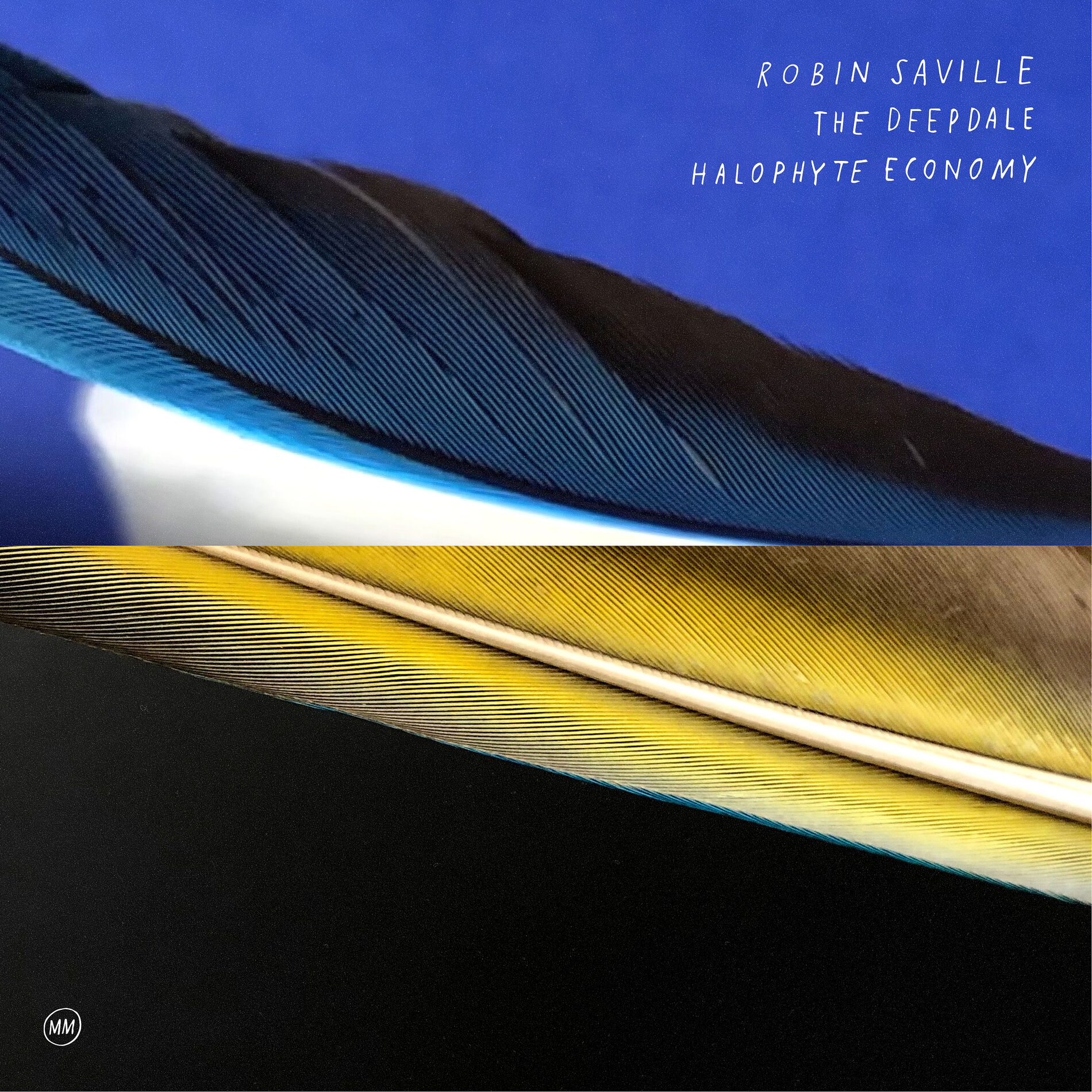 Album cover of The Deepdale Halophyte Economy
