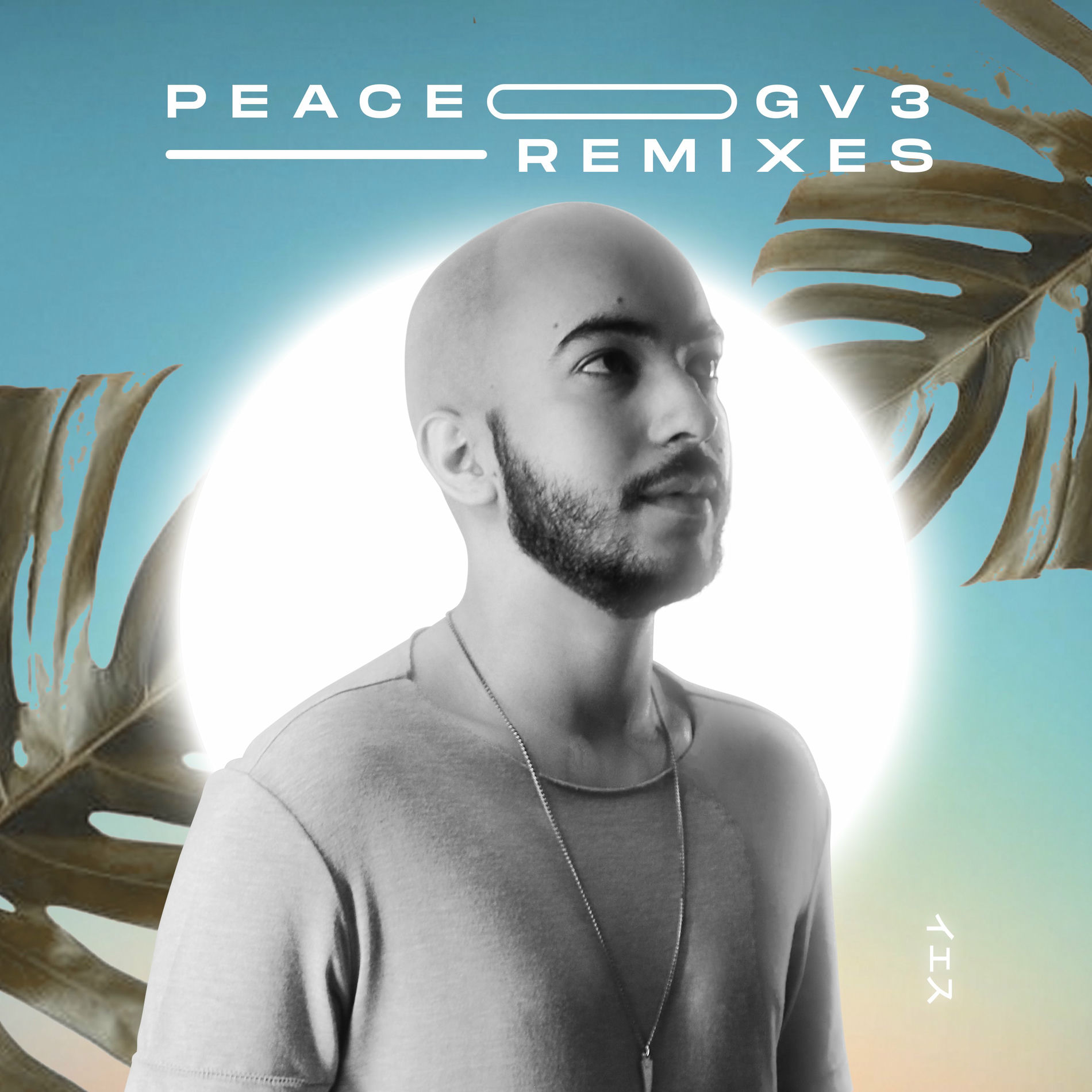 Album cover of Peace (Remixes)