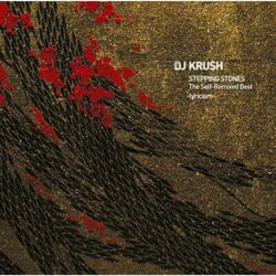 Cover of STEPPING STONES The Self-Remixed Best -lyricism-