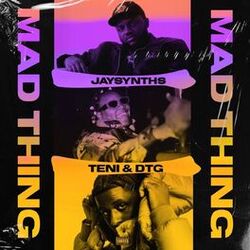 Cover of Mad Thing