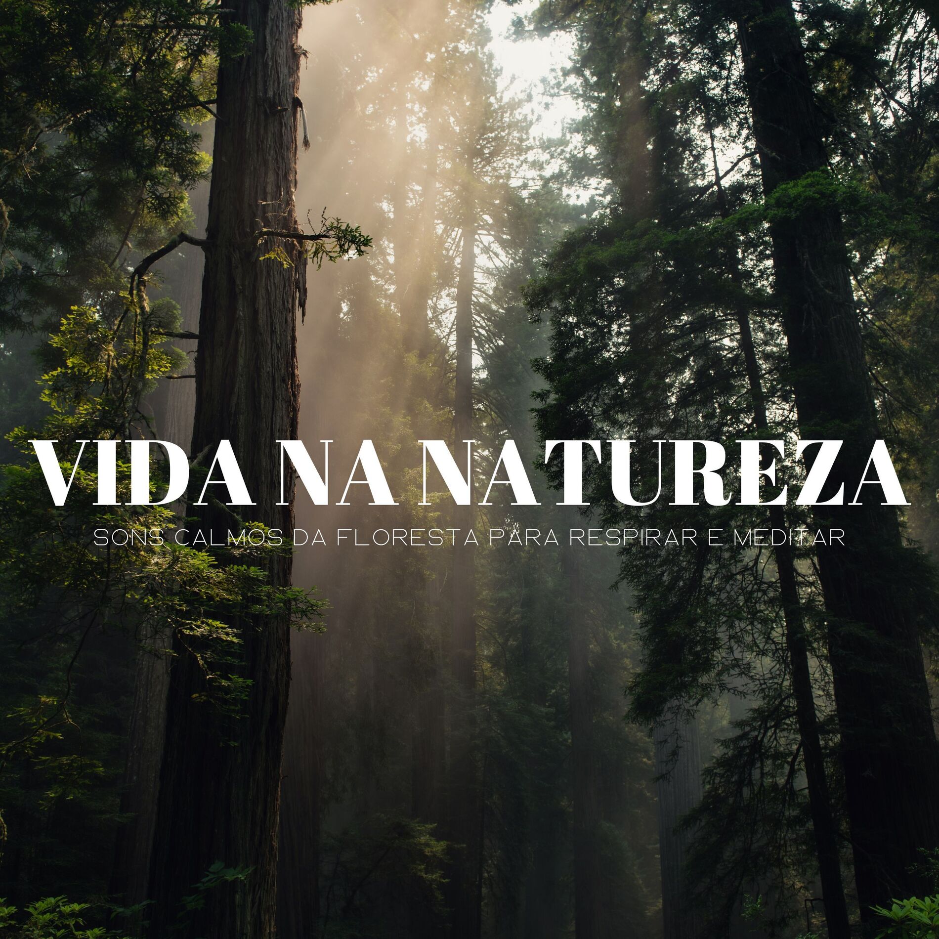 Album cover of Vida Na Natureza: Sons Calmos Da Floresta Para Respirar E Meditar