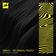 Artichauts by The Caracal Project album cover