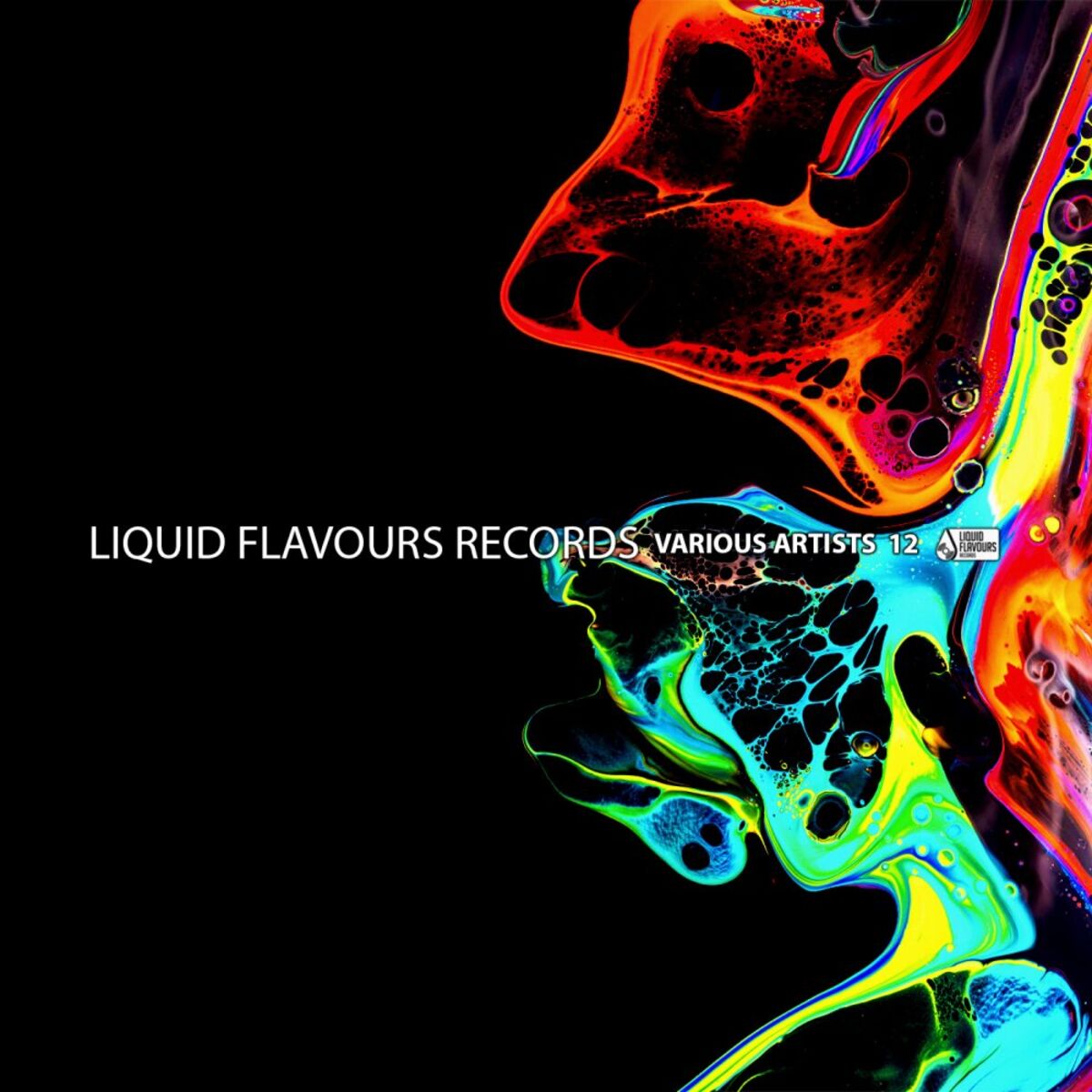 Album cover of Various Artists 12