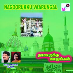 Cover of Nagoorukku Vaarungal
