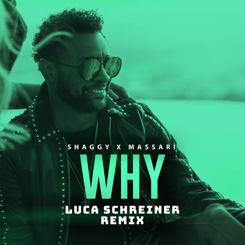 Picture of Why (Luca Schreiner Remix)