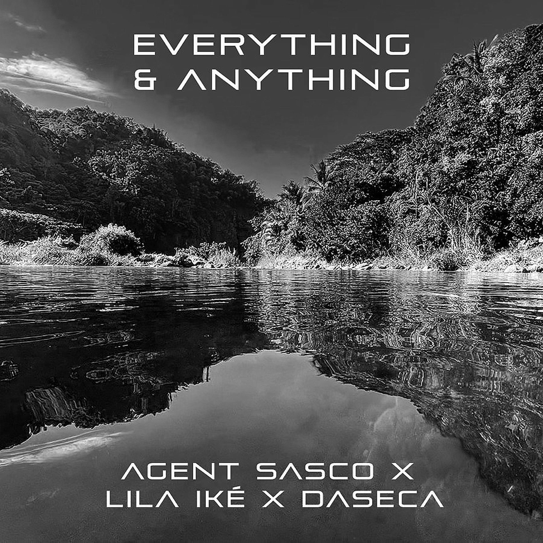 Album cover of Everything & Anything