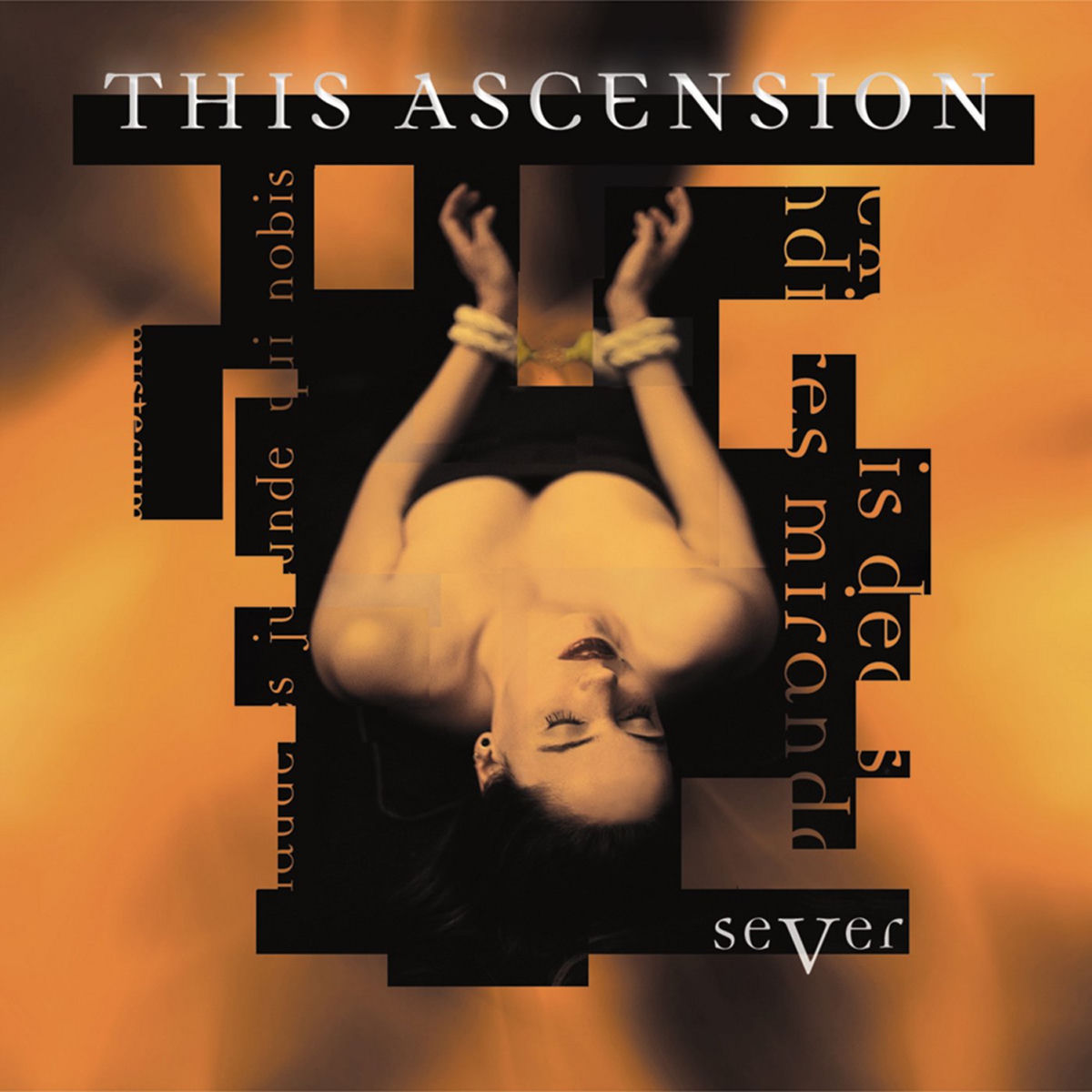 Album cover of Sever