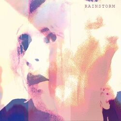 Cover of rainstorm