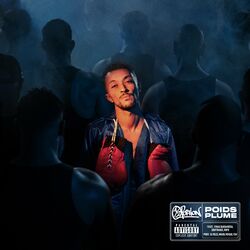 Cover of Normal