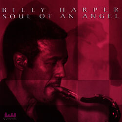 Cover of Soul of an Angel