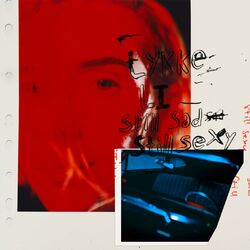 Cover of still sad still sexy