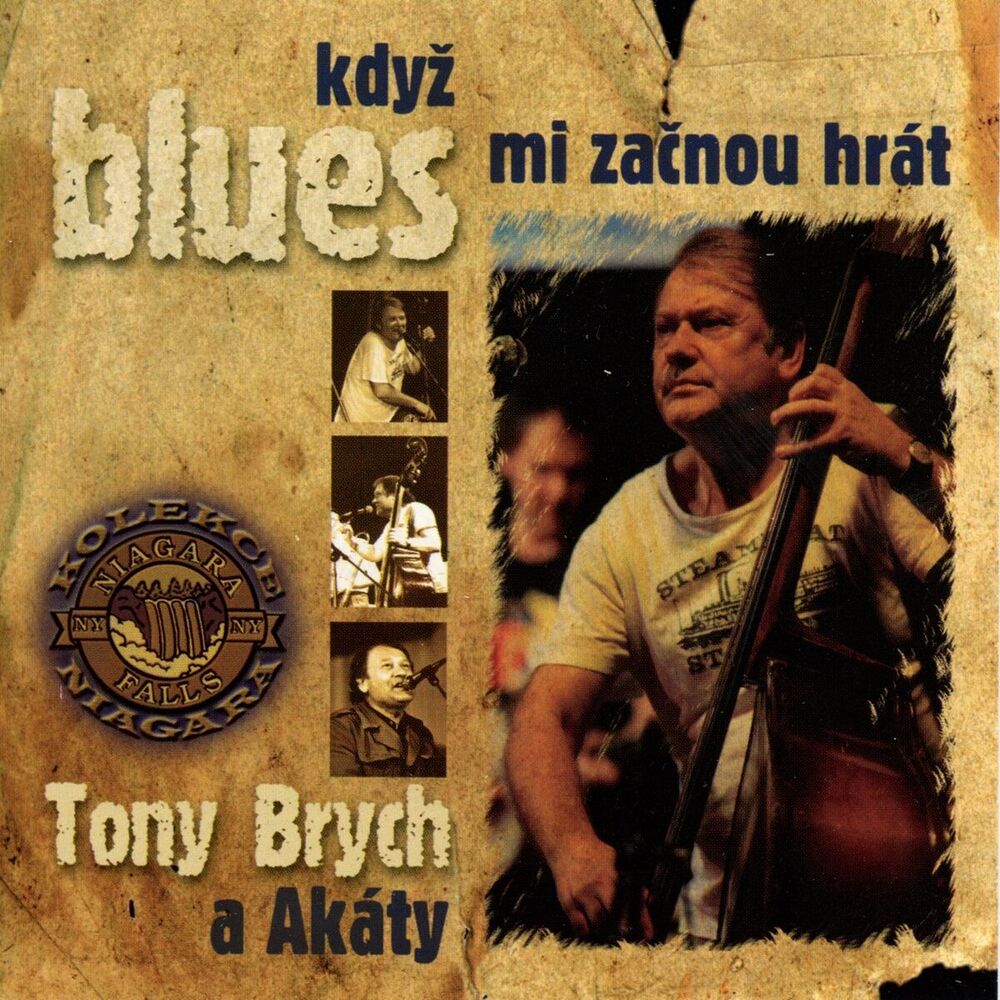 Picture of Když Blues Mi Začnou Hrát
