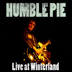 Cover of Live At Winterland