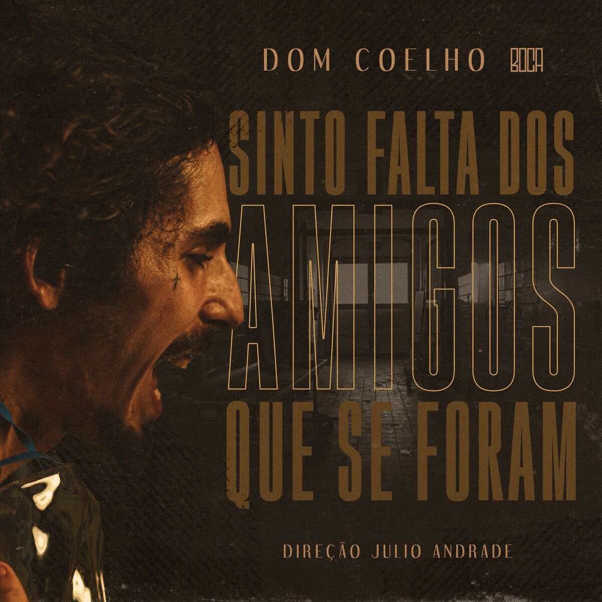 Album cover of Sinto Falta Dos Amigos Que Se Foram