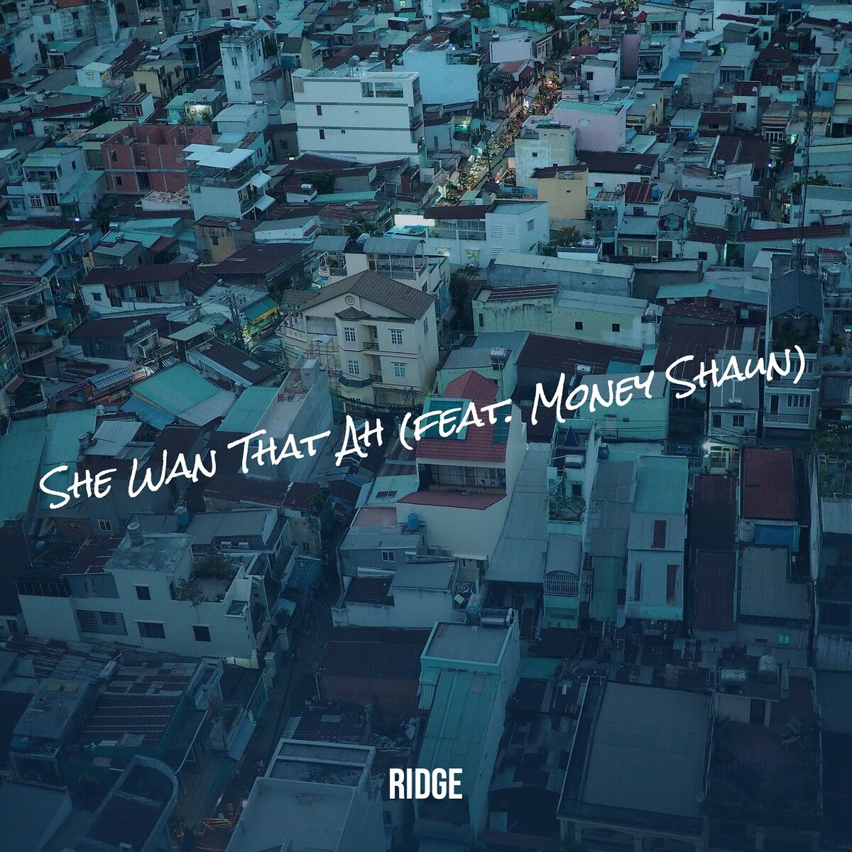 Album cover of She Wan That Ah
