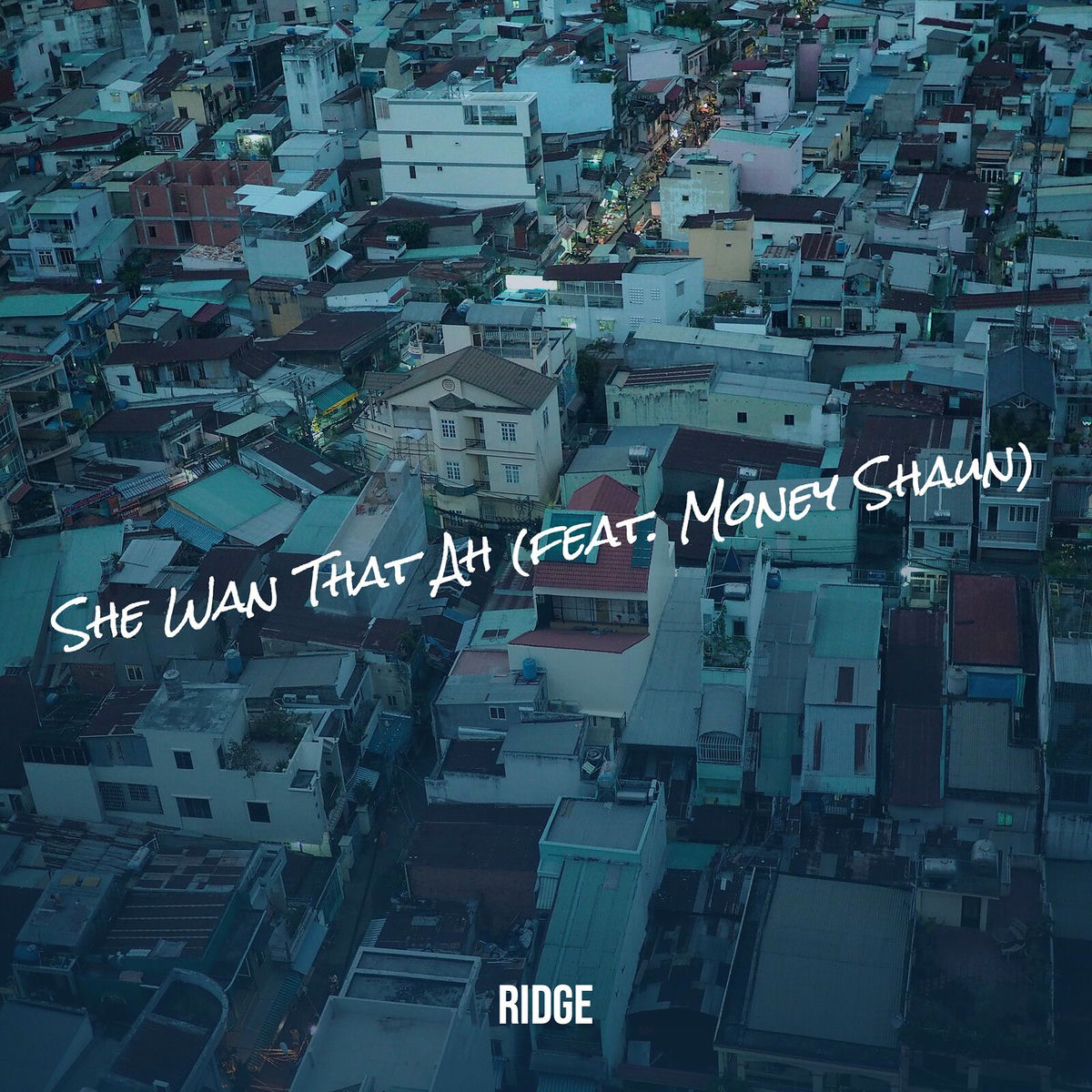 Album picture of She Wan That Ah