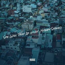 music cover