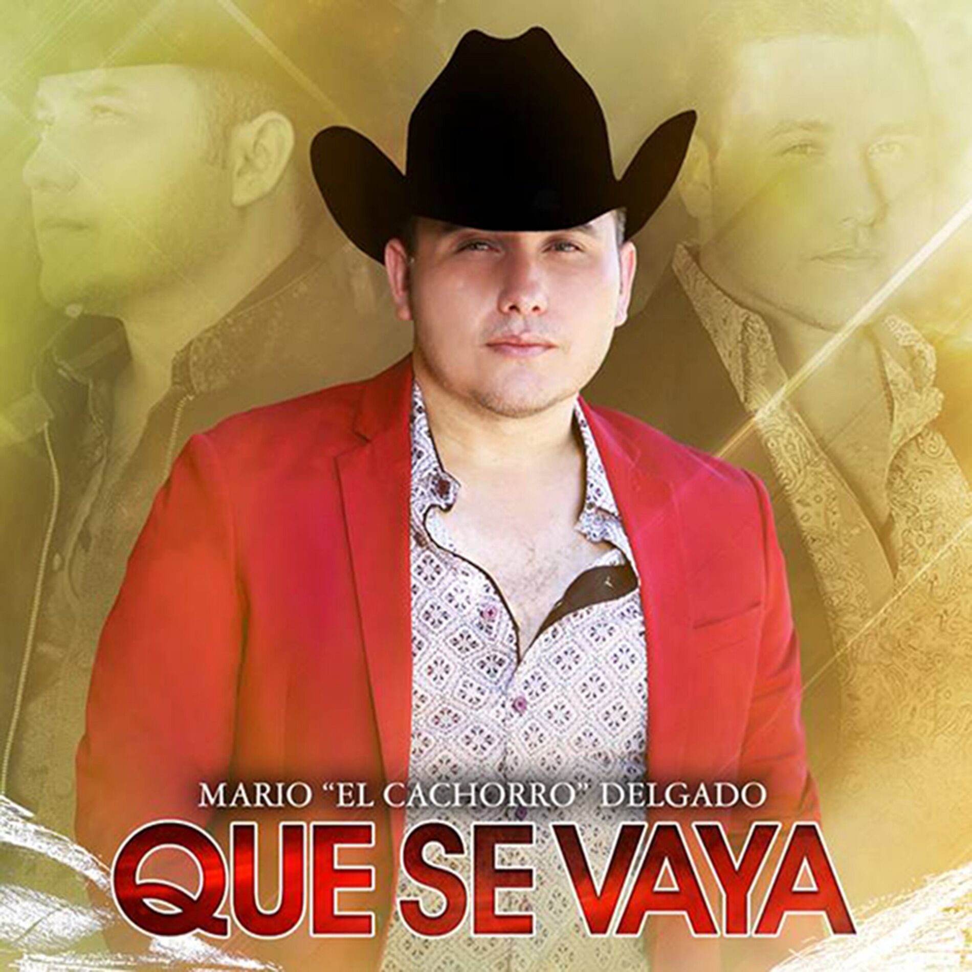 Album cover of El Perro Celular