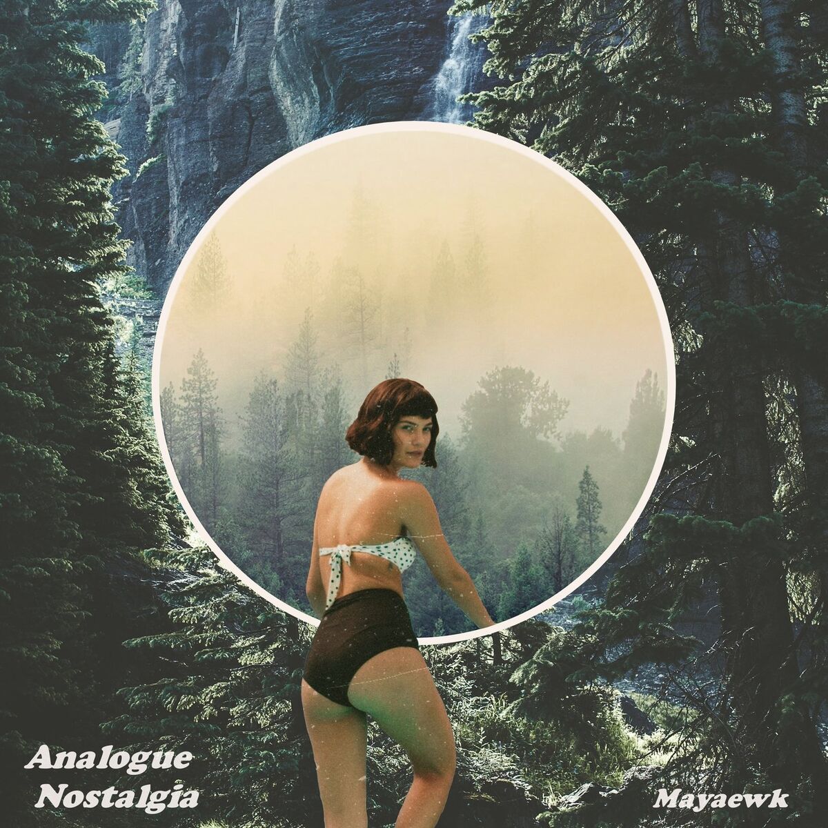 Album cover of Analogue Nostalgia