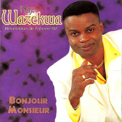 Cover of Bonjour Monsieur