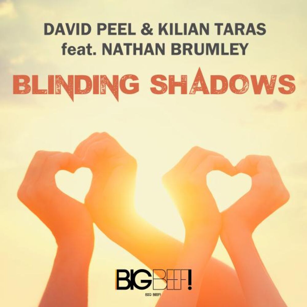 Picture of Blinding Shadows