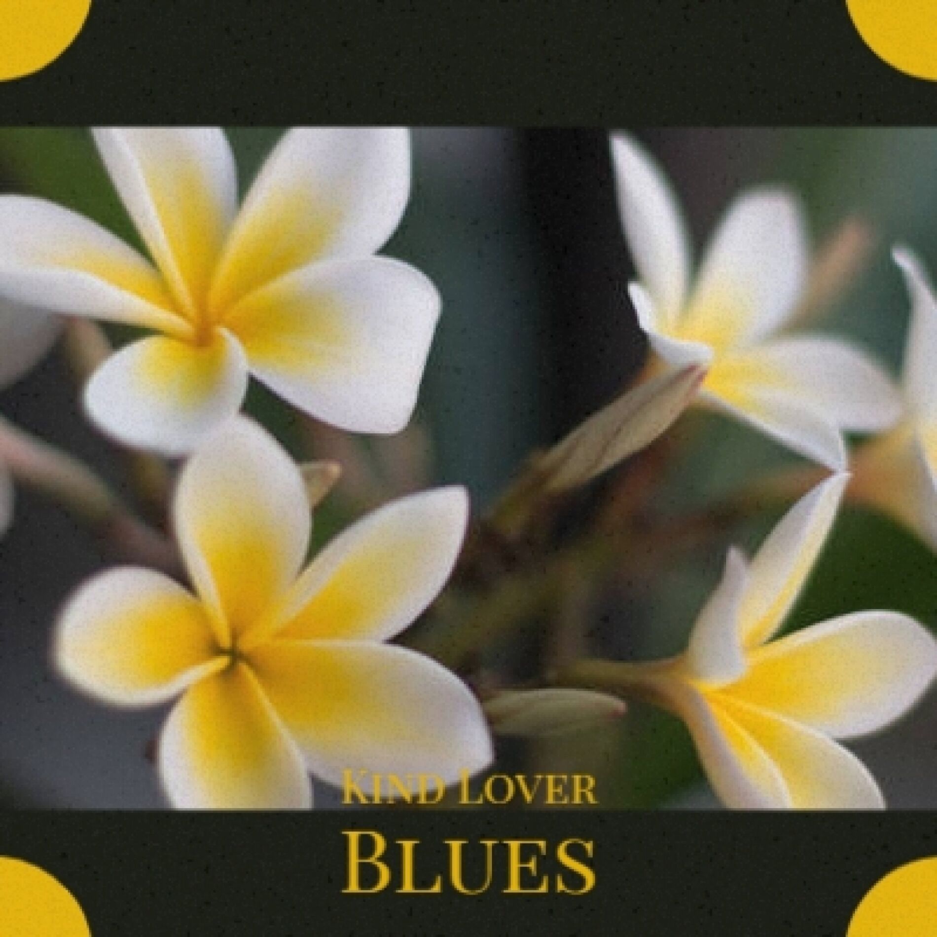 Album cover of Kind Lover Blues