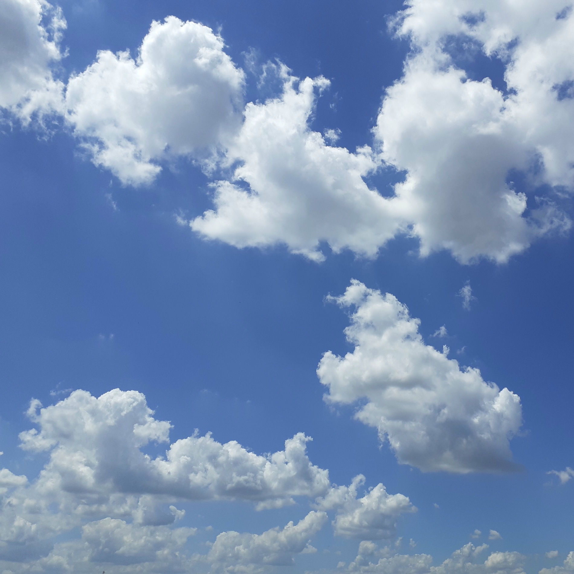 Album cover of Nova Oração