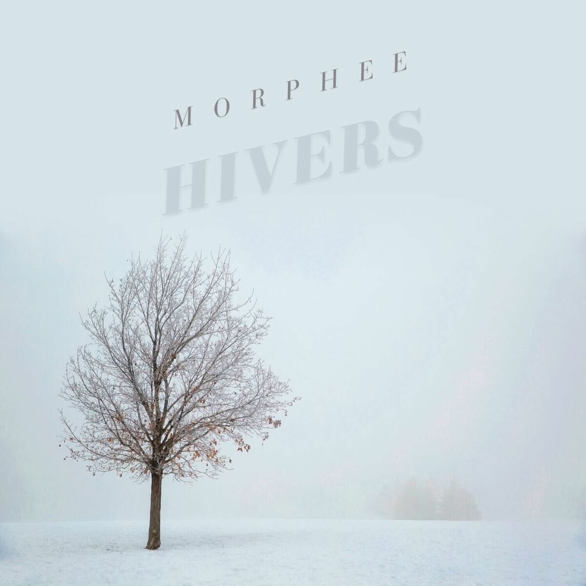 Album cover of HIVERS