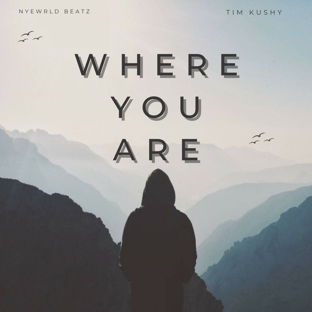 Picture of Where You Are