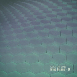 Cover of Mind Insane - EP