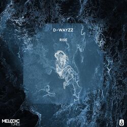 Cover of Rise