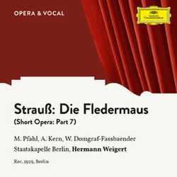 Cover of Strauss: Die Fledermaus: Part 7