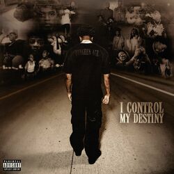 Cover of I Control My Destiny
