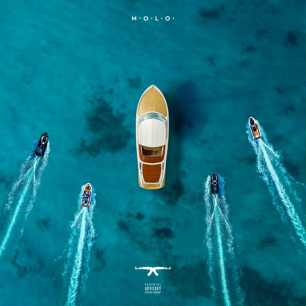 Picture of M.O.L.O. (feat. Benny Jamz, Gilli & MellemFingaMuzik)