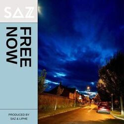 Cover of Free Now!
